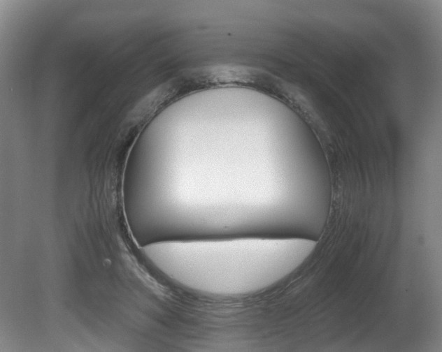 X0000081610402200701151125
