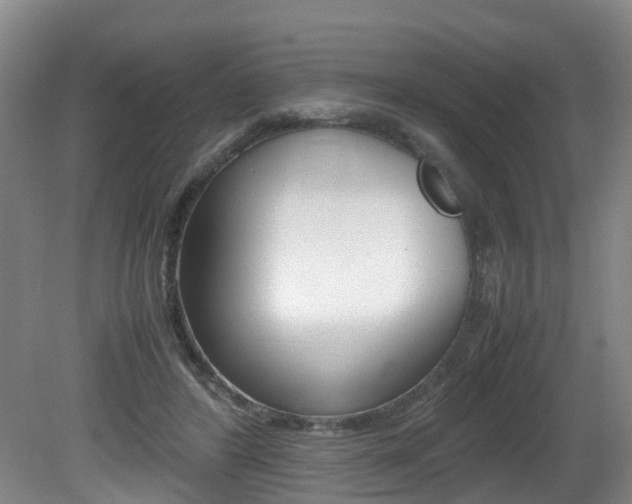 X0000081610404200701151125