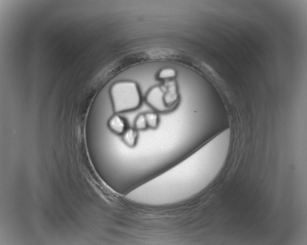 X0000081610405200701151125