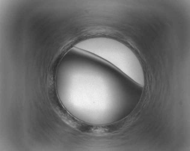 X0000081610407200701151125