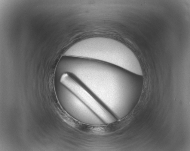 X0000081610409200701151125
