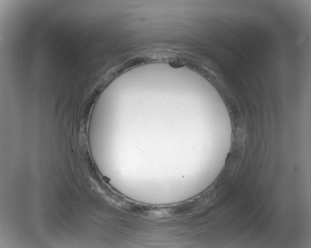 X0000081610411200701151125