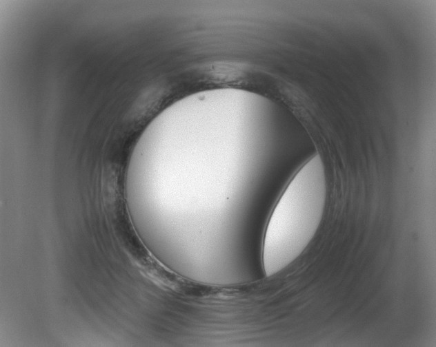 X0000081610412200701151125