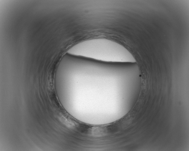 X0000081610418200701151125