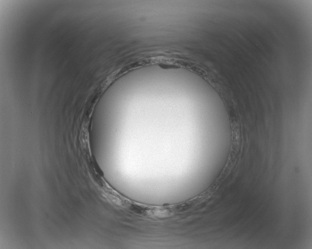 X0000081610419200701151125