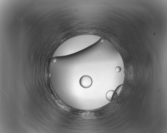 X0000081610426200701151125