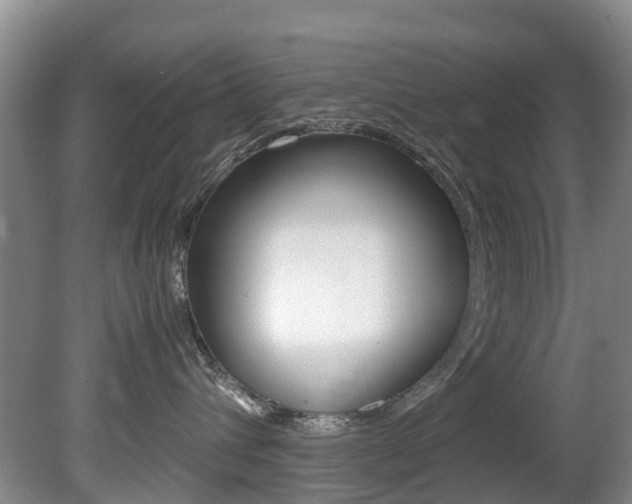 X0000081610432200701151125