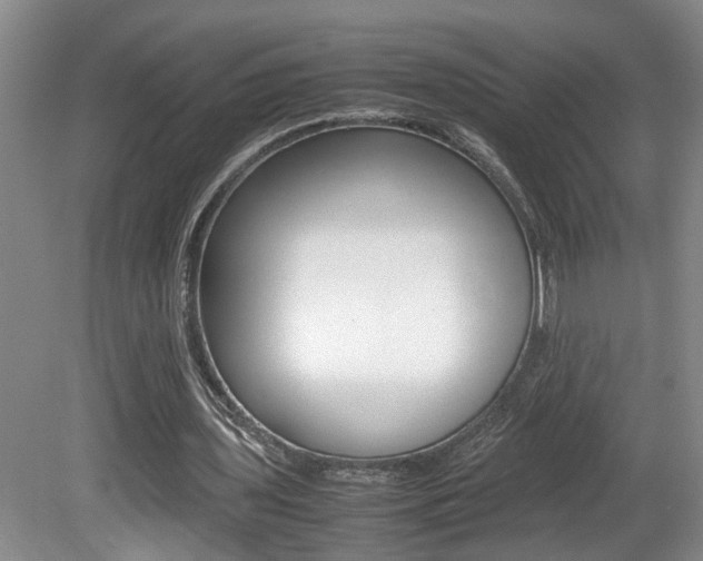 X0000081610435200701151124