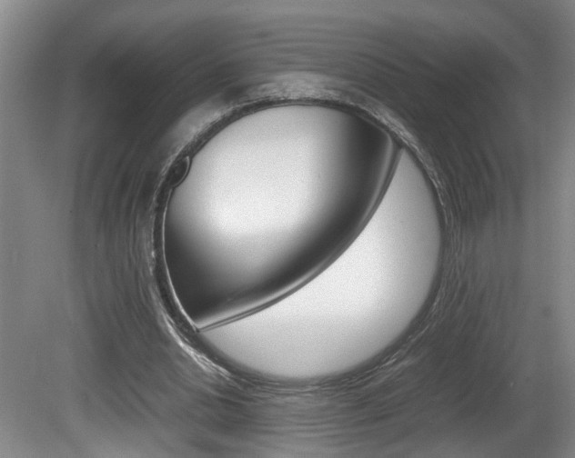 X0000081610438200701151124