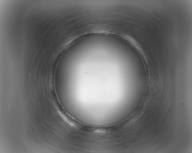 X0000081610441200701151124