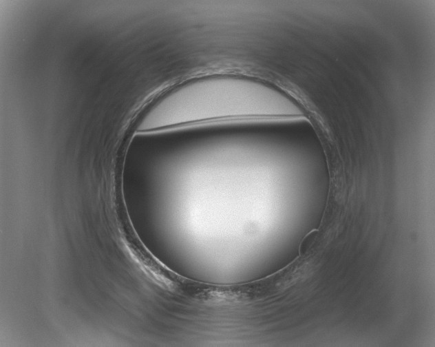 X0000081610442200701151124