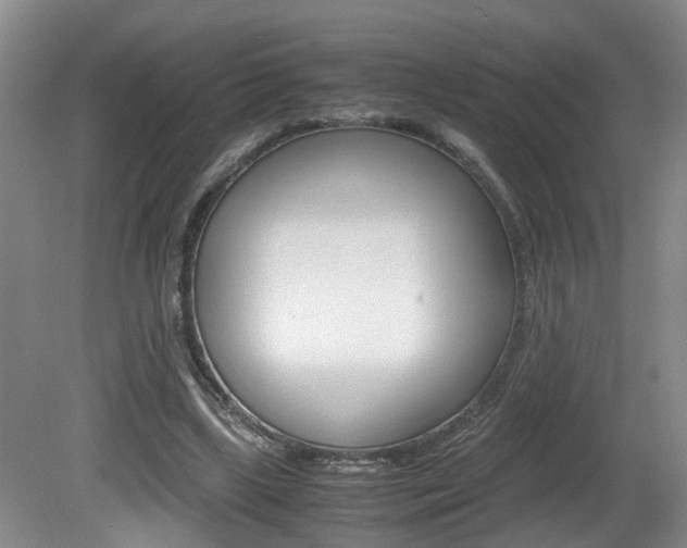 X0000081610443200701151124