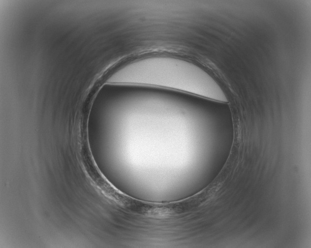X0000081610444200701151124