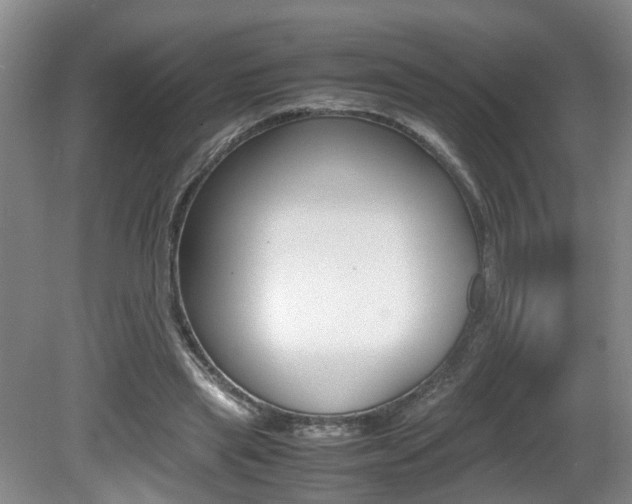 X0000081610445200701151124