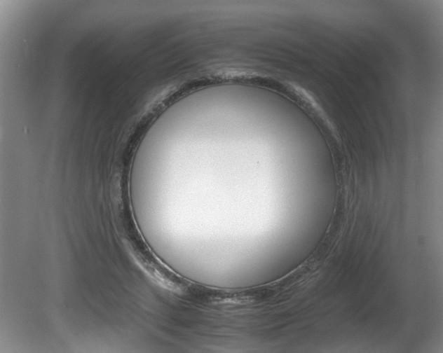 X0000081610447200701151124