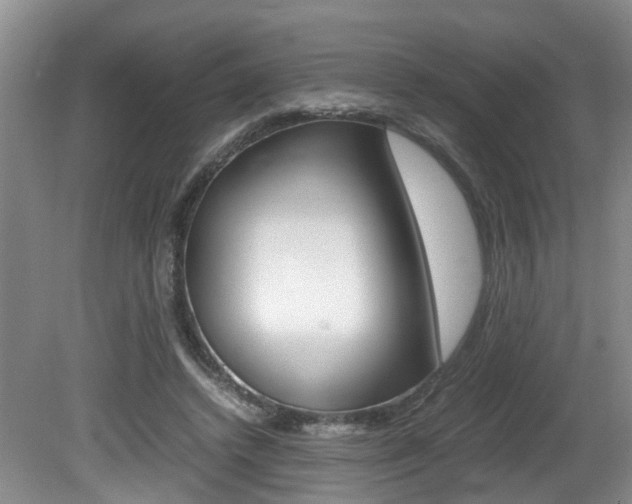 X0000081610448200701151124
