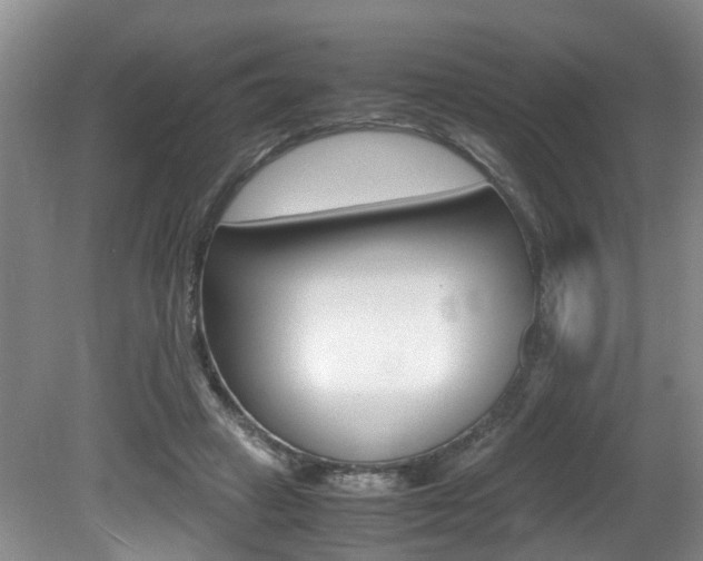 X0000081610449200701151124