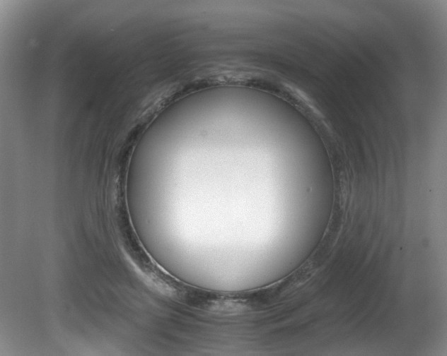 X0000081610451200701151124
