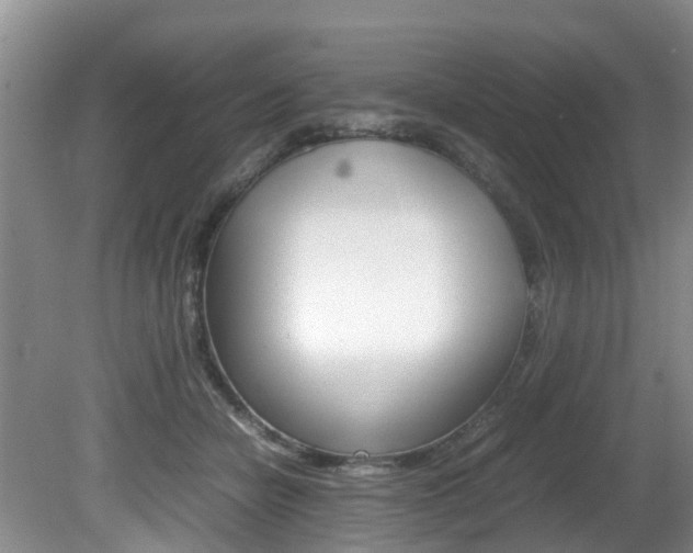 X0000081610462200701151124
