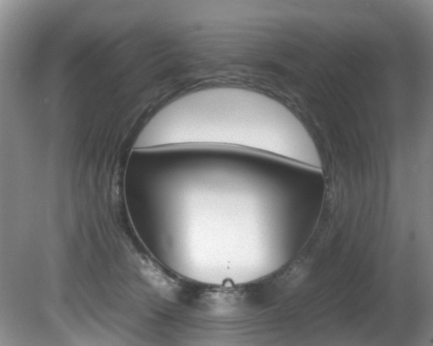 X0000081610466200701151125
