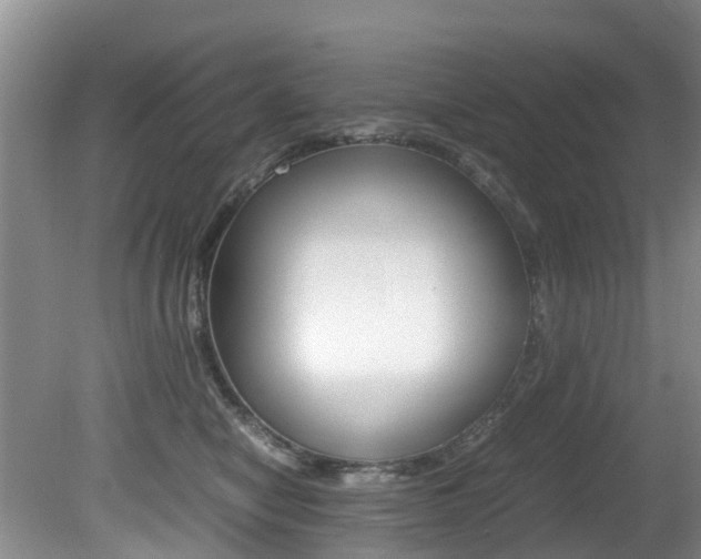 X0000081610470200701151125