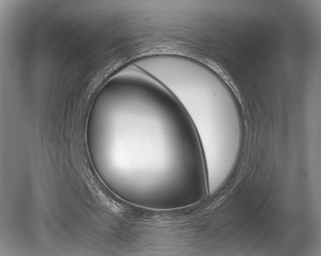 X0000081610481200701151124