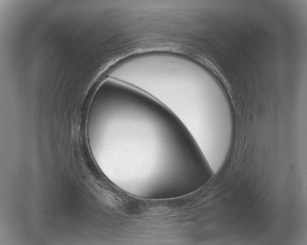 X0000081610483200701151124