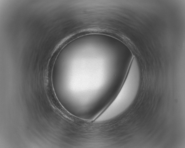 X0000081610484200701151124