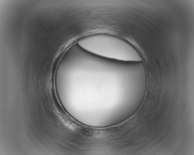 X0000081610486200701151124