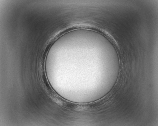 X0000081610487200701151124