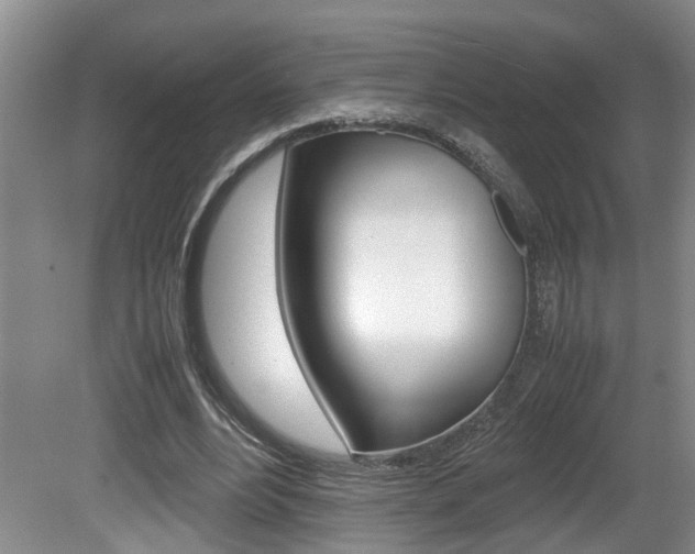 X0000081610488200701151124