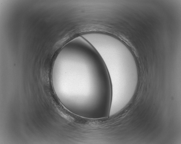 X0000081610489200701151124