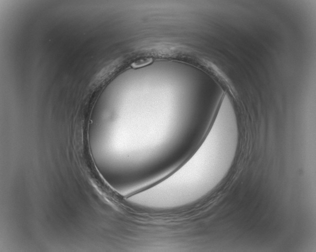 X0000081610493200701151124