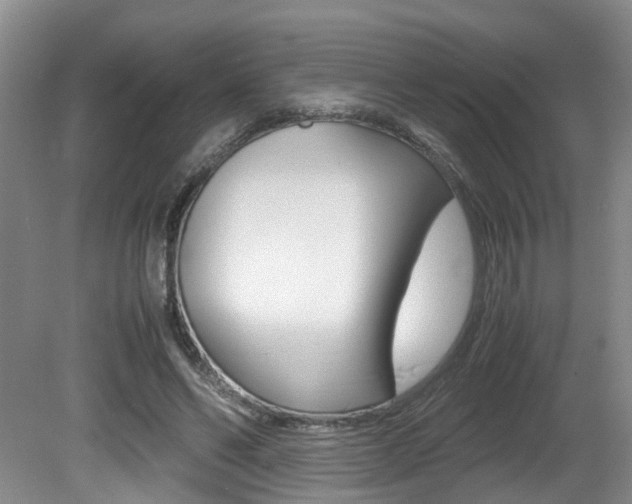 X0000081610494200701151124