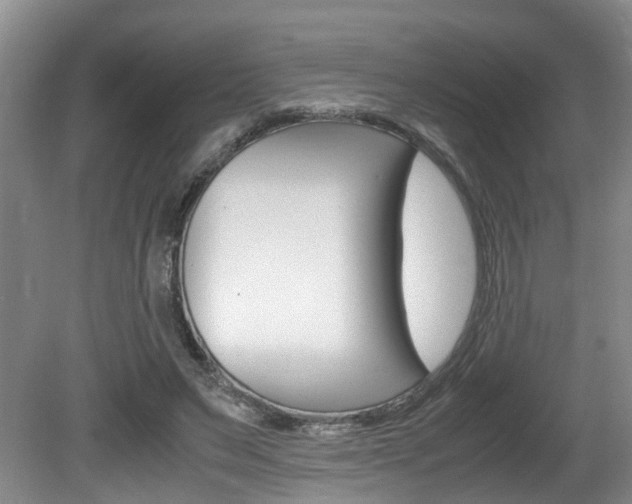 X0000081610495200701151124