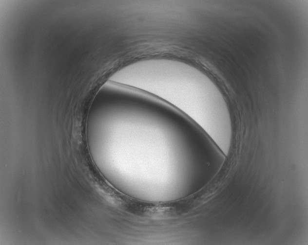 X0000081610497200701151124