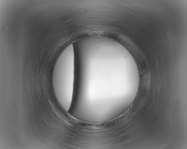 X0000081610498200701151124