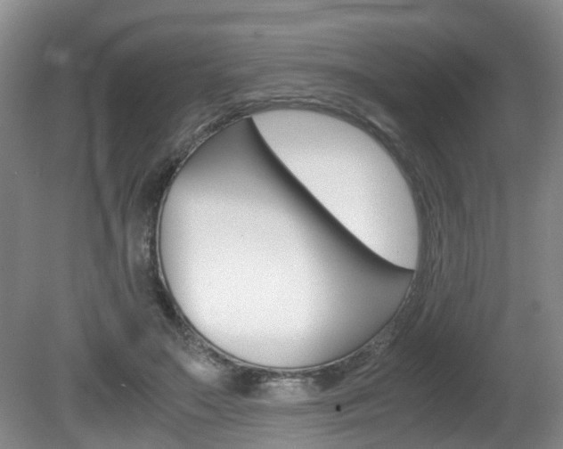 X0000081610499200701151124