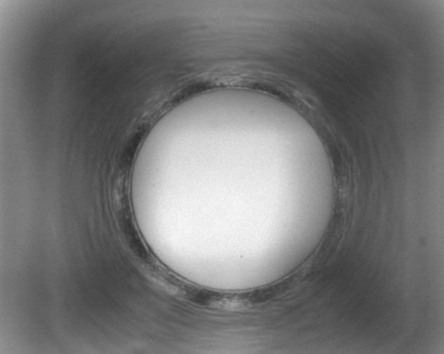 X0000081610503200701151124
