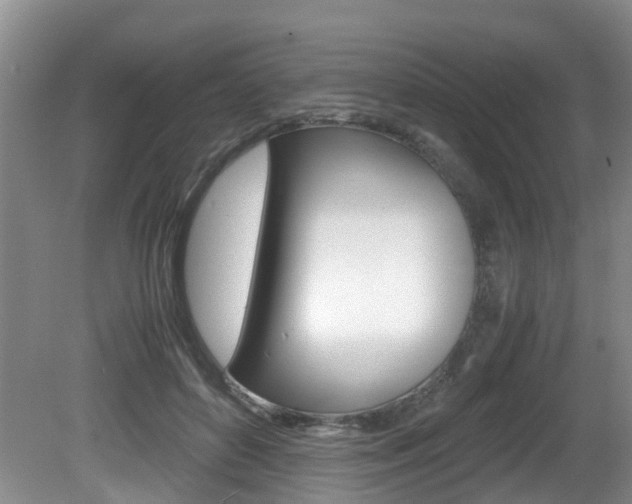 X0000081610504200701151124