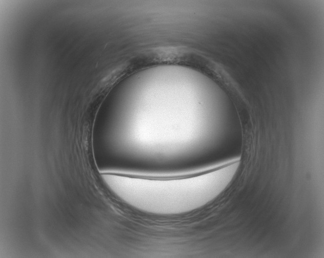X0000081610505200701151124