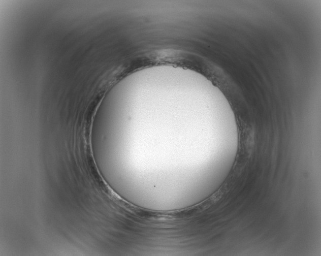 X0000081610506200701151124