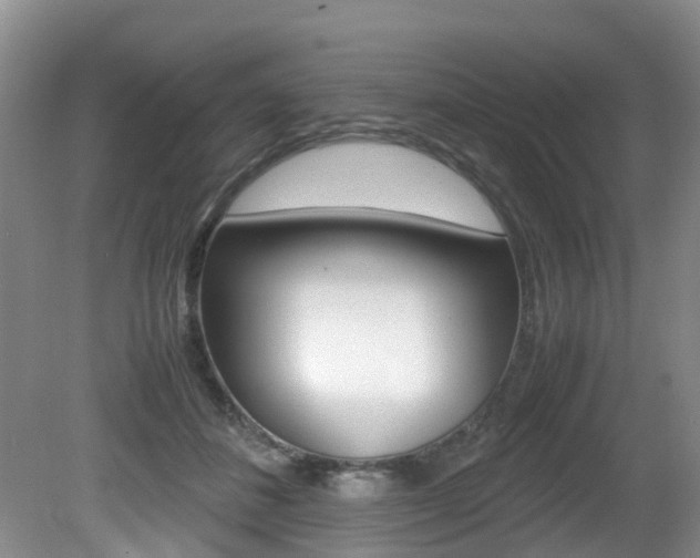 X0000081610508200701151123