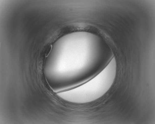 X0000081610509200701151123
