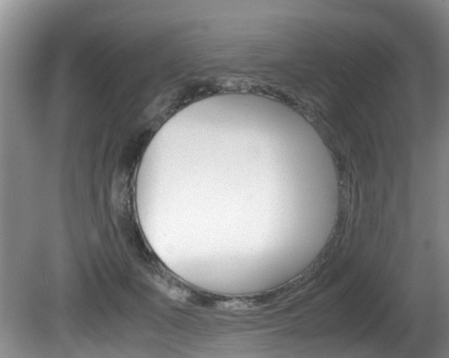 X0000081610511200701151123