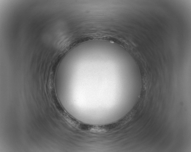 X0000081610515200701151123