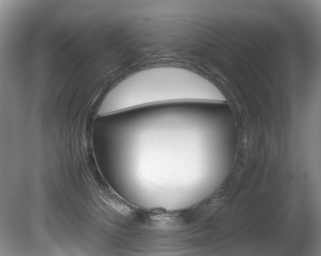 X0000081610516200701151123