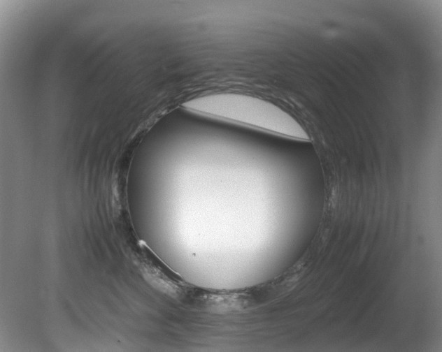 X0000081610524200701151123