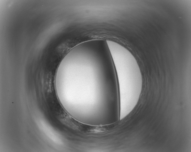 X0000081610525200701151123