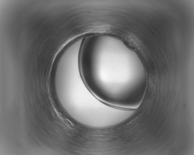 X0000081610532200701151122